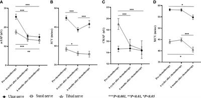 Blood neurofilament light chain as a biomarker for monitoring and predicting paclitaxel-induced peripheral neuropathy in patients with gynecological cancers